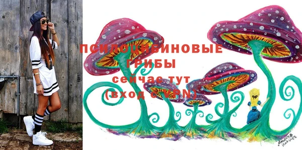 mdpv Магас