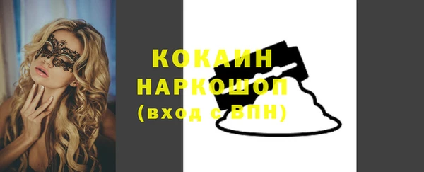 индика Майский