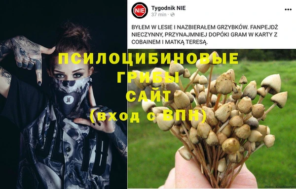 таблы Мегион