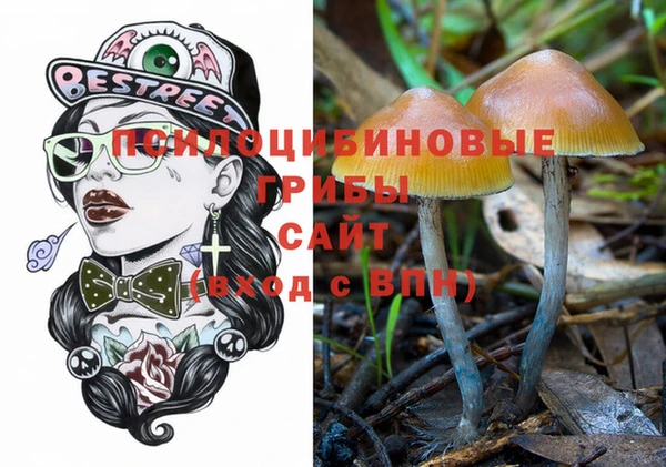 индика Майский
