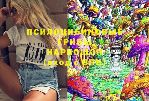 mdpv Магас