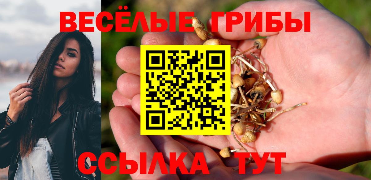 Псилоцибиновые грибы MAGIC MUSHROOMS Георгиевск