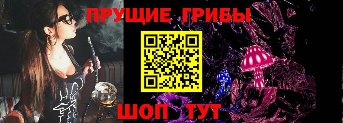 Псилоцибиновые грибы Cubensis  Псилоцибиновые грибы мицелий  Георгиевск  Вход с VPN 